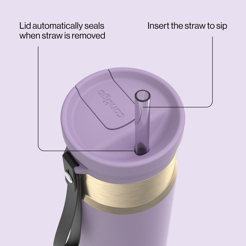 24oz-snapsealtm-bottle-w0 bevt0009_contigo_2231080_snapseal_24oz_straw_purplecarrot_atf4